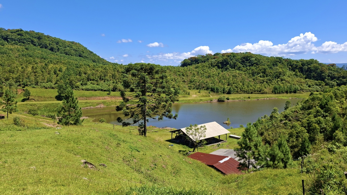 FAZENDA COM 110 HECTARES