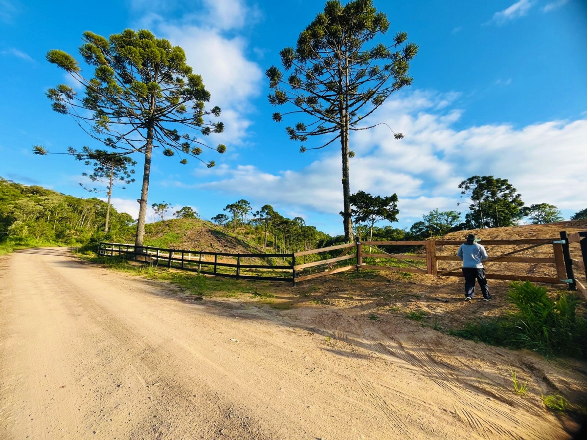 IMÓVEL RURAL NO PINHAL